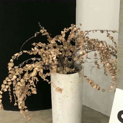 长子FurryQQ群介绍